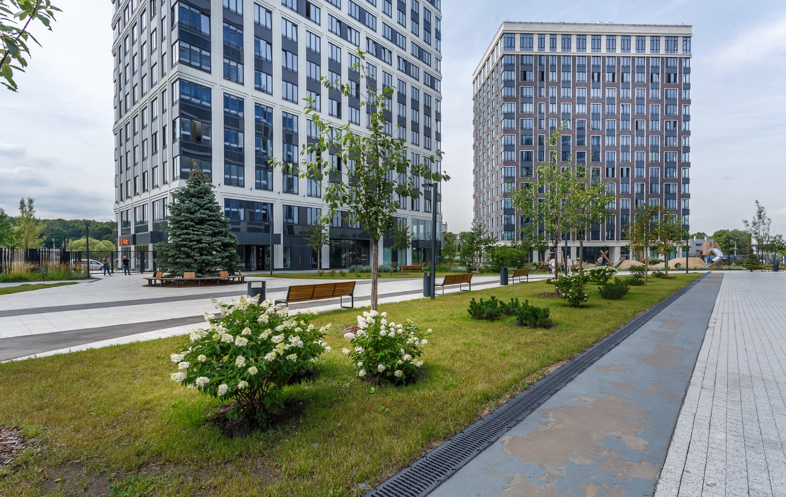 Консультации